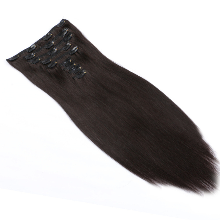 Clips in 100 real hair extensions remy real human hair SJ00126